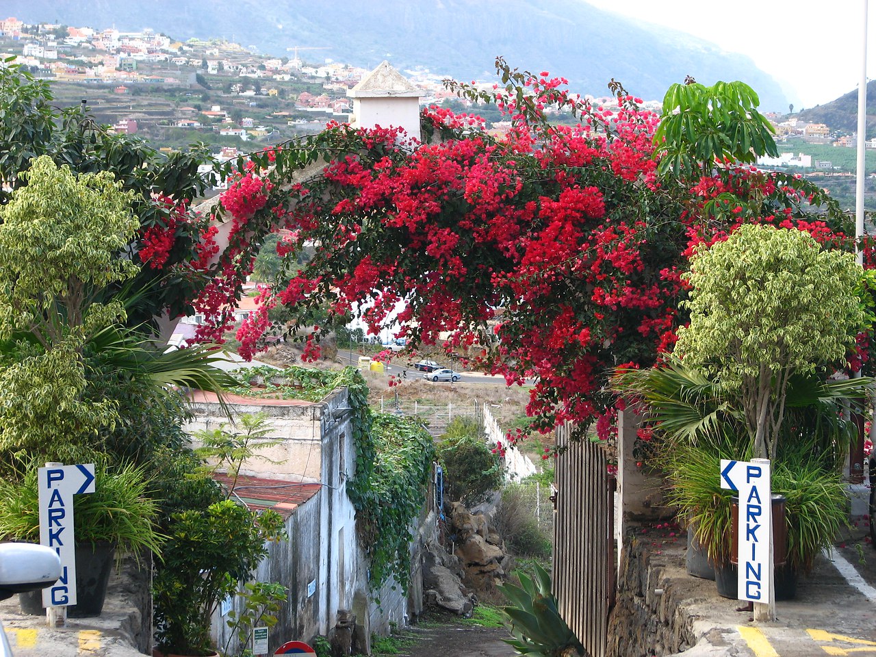 �������� �������! - 7 ������� 2016 � 09:41