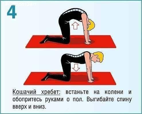 Чиним осанку! Забирай на стенку! - 4