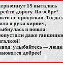 ���� �����, ����, 46 ��� - ��������� 19 ���� 2016 � ������ ������ ��������