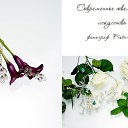 ���� Aurinko, ��������� - ��������� 25 ���� 2016 � ������ ������ ��������