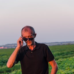 ������, ��������, 56 ���