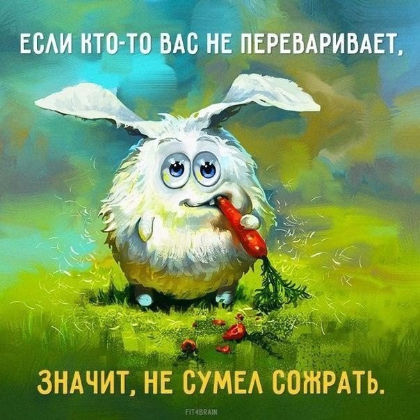  |  2016 |  |  |  - 7  2016  17:13