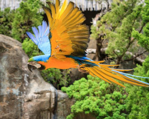 В мире животных - 1 июля 2016 в 09:54