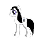 ���� �����, ��������, 23 ���� - ��������� 20 ������ 2016 � ������ ������ ��������