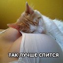 ���� ����, ���� - ��������� 6 ���� 2016 � ������ ������ ��������