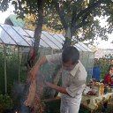 ���� ����������, ������������, 49 ��� - ��������� 11 ������� 2016 � ������ �������