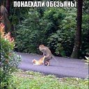 ���� �����, ��������������, 44 ���� - ��������� 7 ������� 2016 � ������ ���� ����������