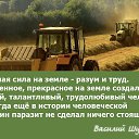 ���� ���������, �����, 63 ���� - ��������� 14 ���� 2016 � ������ ���� ����������