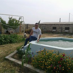 Tt, ����, 36 ���