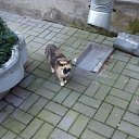 ���� ~Tatyana~, ��������� - ��������� 2 �������� 2016 � ������ ������ 2016�