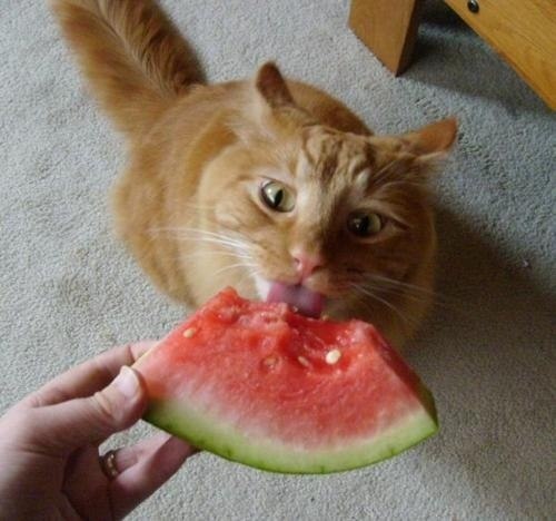 ,  )))