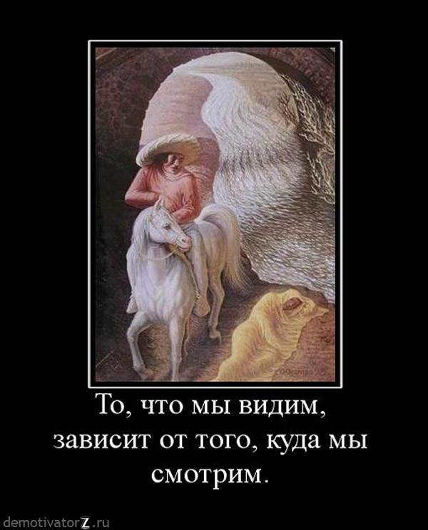  - 2  2016  14:31