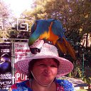 ���� �������, ������, 51 ��� - ��������� 7 �������� 2016 � ������ ���� ����������