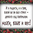���� �����, �����-���������, 53 ���� - ��������� 10 �������� 2016 � ������ ������ ��������
