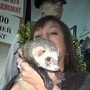 ���� �������, ������, 54 ���� - ��������� 23 ��� 2016 � ������ ���� ����������