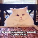 ���� �������, ������ - ��������� 15 ���� 2016 � ������ ������ ��������