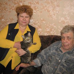 ������� ���������, ������, 77 ���