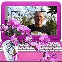 ���� �������, ���������, 79 ��� - ��������� 6 ��� 2016 � ������ ���� ����������