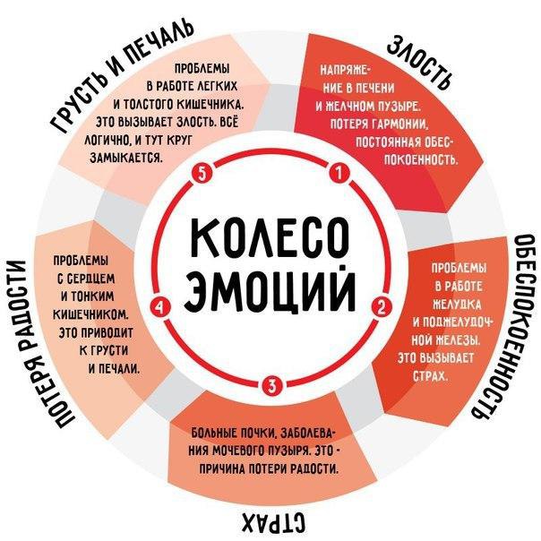 Влияние эмоций на ваше здоровье.Все люди такие разные. Но как бы мы сильно между собой ни ...