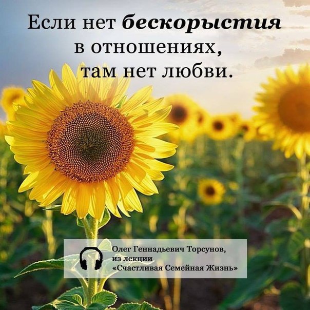   <a href=