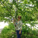 ���� ����, ��������� - ��������� 9 ��� 2016 � ������ ���� ����������