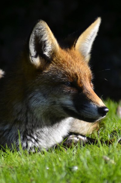  ! - 17  2016  13:58 - 2