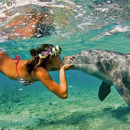 ����, ������, 40 ���