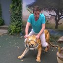 ���� �����, ������, 62 ���� - ��������� 27 ����� 2016 � ������ ���� ����������