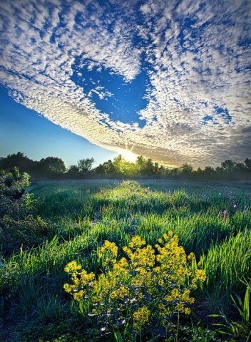  Phil Koch