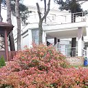 ���� �����, ����������, 55 ��� - ��������� 3 ������ 2016 � ������ �������� ���������� 2016�