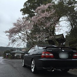 ���� ��������, ������ - ��������� 23 ��� 2016
