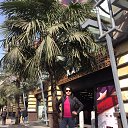 ���� Albina, �������, 41 ��� - ��������� 14 ������ 2016 � ������ ���� ����������