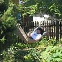 ���� ����, �����-���������, 42 ���� - ��������� 17 ��� 2016 � ������ ���� ����������