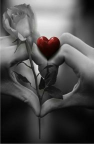         .....      ?...........