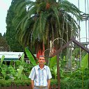 ���� �������, ��������, 54 ���� - ��������� 4 ���� 2016