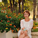 ���� ������, ������-��-����, 54 ���� - ��������� 8 ������� 2016 � ������ ������ ��������