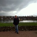  , -, 54  -  29  2016    