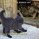 ���� *����������!!! 134, ��������� - ��������� 15 ������ 2016 � ������ ���� ����������