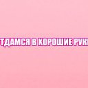 ���� �������, �������, 41 ��� - ��������� 25 ������� 2016 � ������ ���� ����������