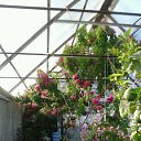  , -, 39  -  15  2016    