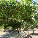 ���� ��������, �����������, 61 ��� - ��������� 27 ���� 2016 � ������ ��������