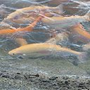 ���� ����, �������, 45 ��� - ��������� 7 ��� 2016 � ������ ���������