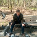 ���� �������, �����������, 51 ��� - ��������� 13 ���� 2016