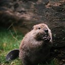 ���� 15 ����, ������� - ��������� 6 ������� 2016 � ������ ������ ��������