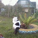 ���� ��������, �����, 52 ���� - ��������� 30 ����� 2016 � ������ �"� �������"�