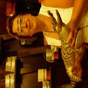 ���� �������, ������� - ��������� 24 ��� 2016 � ������ ������ ��������