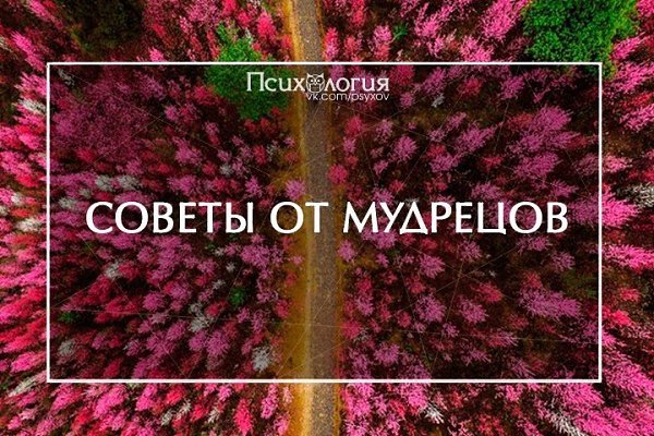 7 мудрых советов.1. Первое, что надо держать в секрете, говорят мудрецы - свои далеко идущие планы. ...