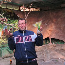 �������, ������, 47 ���