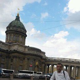 ����, �����-���������, 43 ����