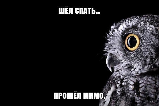   - 2  2016  23:11